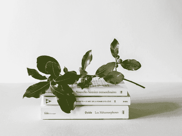 24小时不停呼叫软件