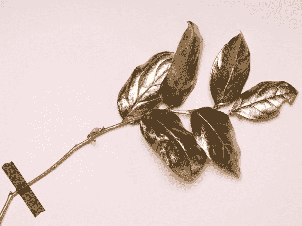 短信免费轰炸网页入口